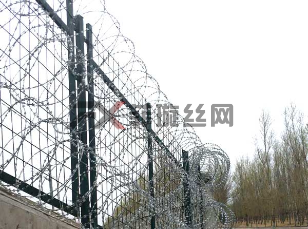 鍍鋅刺絲滾籠價格